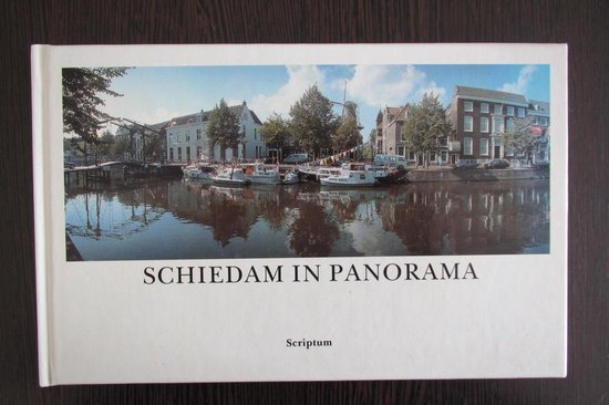 Schiedam in panorama