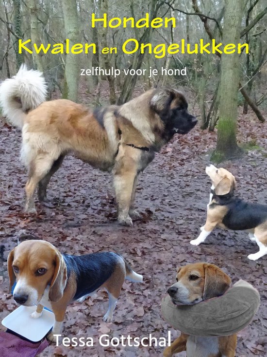 Honden kwalen en ongelukken