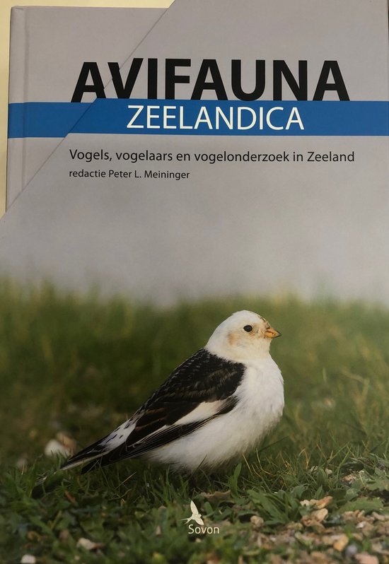 Avifauna Zeelandica