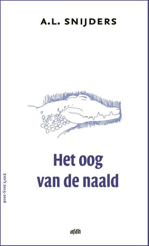 Het oog van de naald