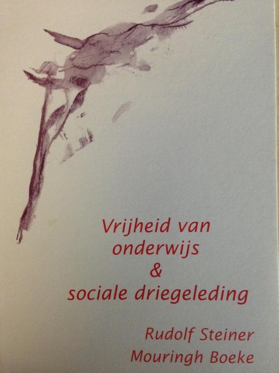 Vrijheid Van Onderwijs Sociale Driegeled