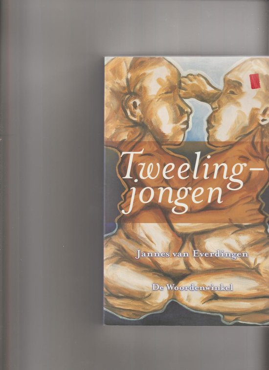 Tweelingjongen