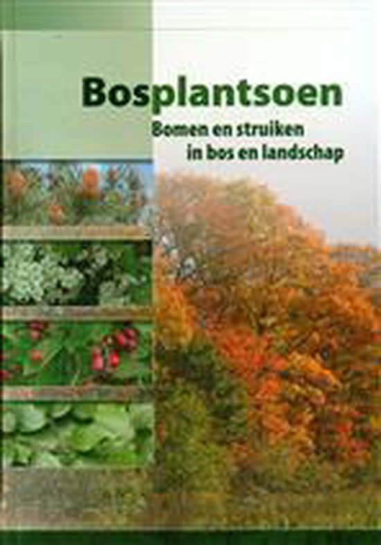 Bosplantsoen