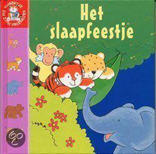 Slaapfeestje