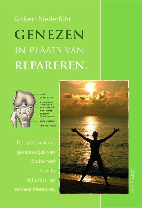 Genezen in plaats van repareren