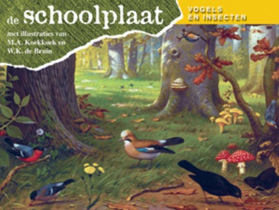 De Schoolplaat Vogels en Insecten