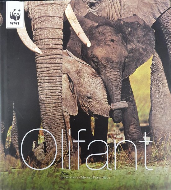 Olifant