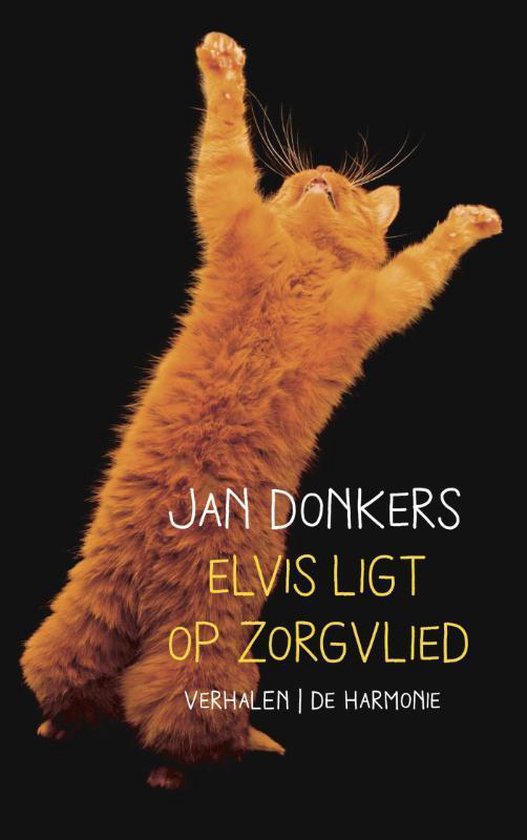 Elvis ligt op Zorgvlied