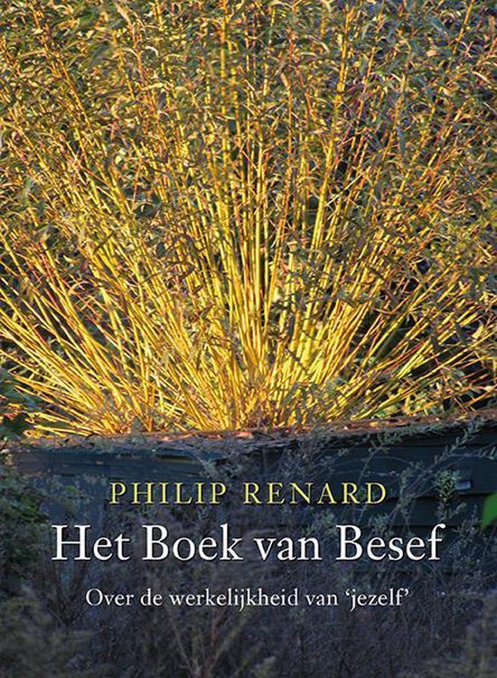 Het boek van besef