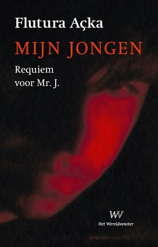 Mijn jongen