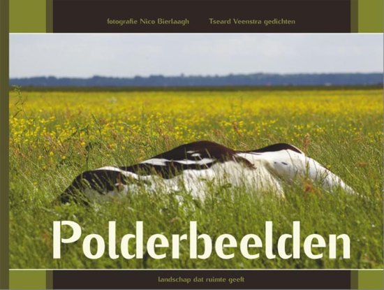 Polderbeelden