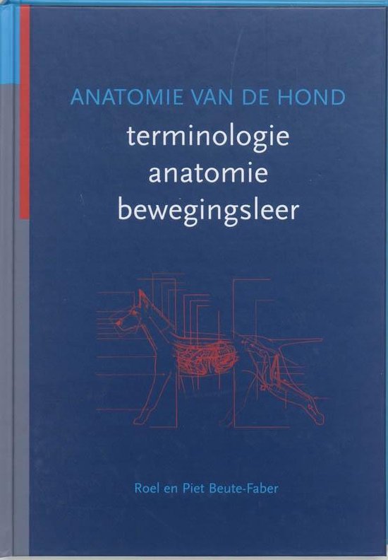 Anatomie van de hond