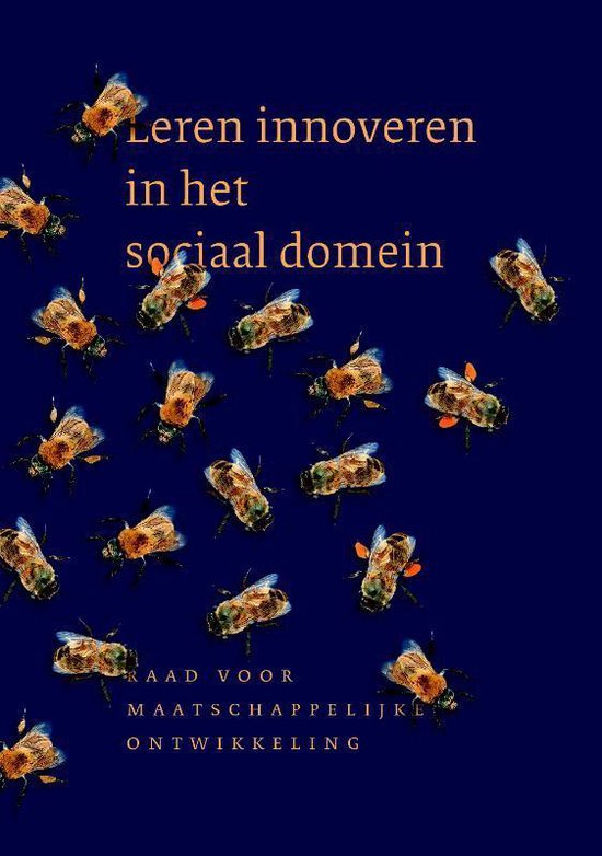 Leren innoveren in het sociaal domein