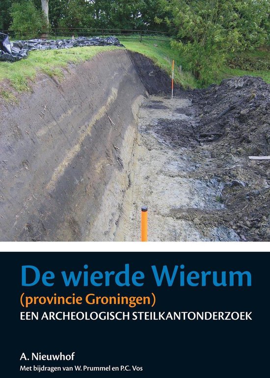 De wierde Wierum (provincie Groningen)