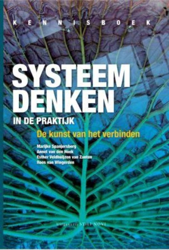 Systeem denken in de praktijk