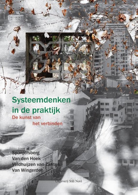 Systeemdenken in de praktijk