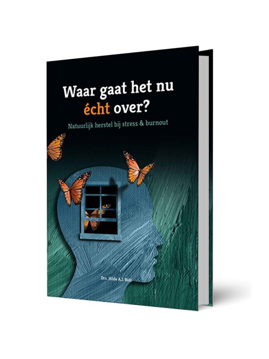 Waar gaat het nu echt over?