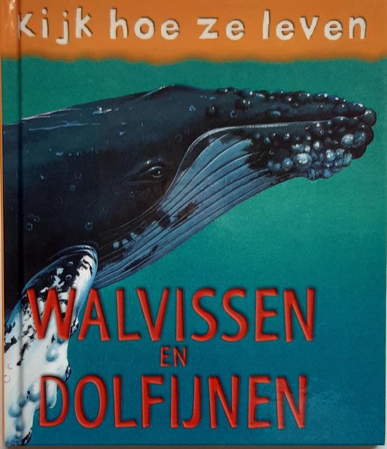 Walvissen en dolfijnen