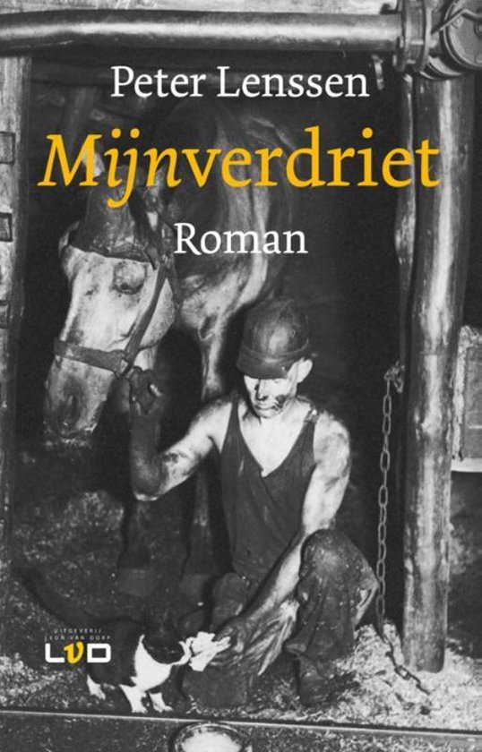 Mijnverdriet