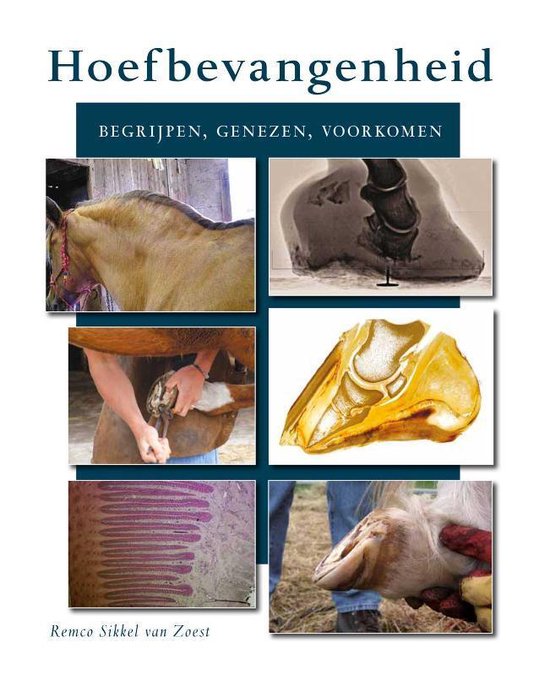 Hoefbevangenheid