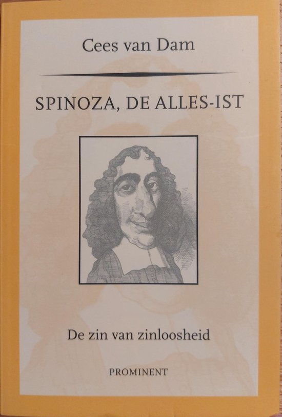 Spinoza de Alles-ist   de zin van zinloosheid