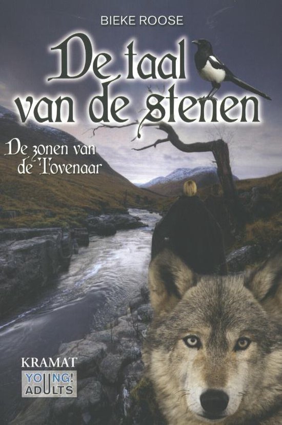 De taal van de stenen 1 -   De zonen van de tovenaar