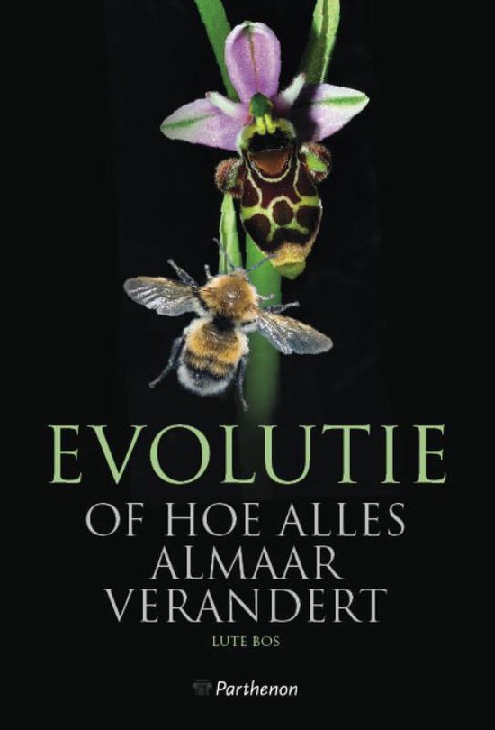 Evolutie of hoe alles almaar verandert