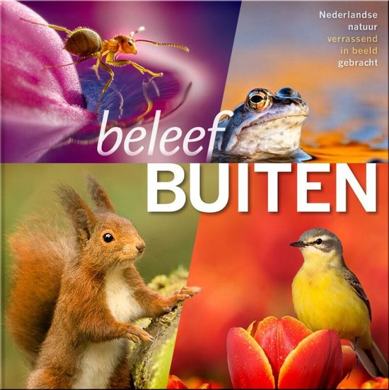 Beleef Buiten