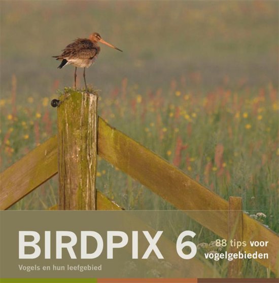 Birdpix 6 - Birdpix 6 Vogels en hun leefgebied