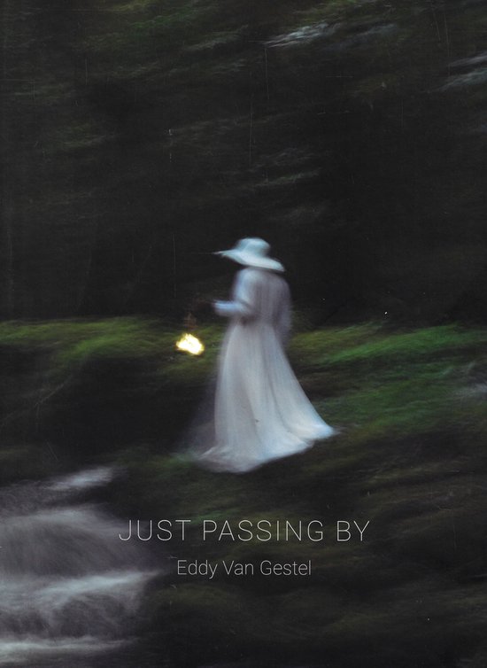 Eddy Van Gestel : Just Passing By