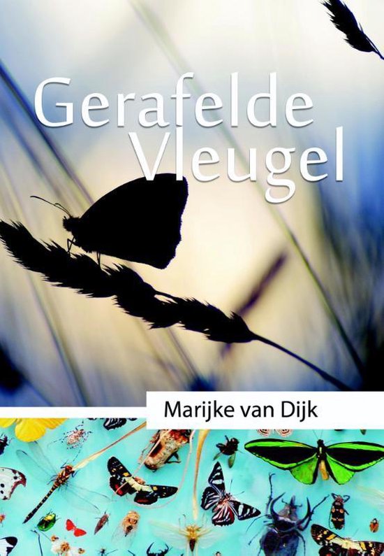 Vlinderdans 2 -   Gerafelde vleugel