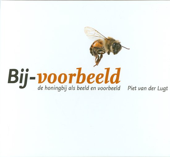 Bij voorbeeld