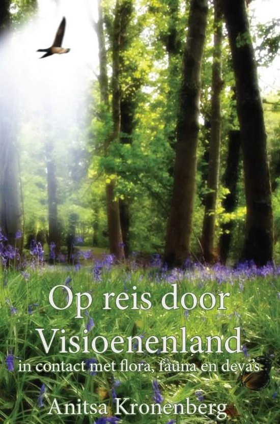 Op reis door visioenenland