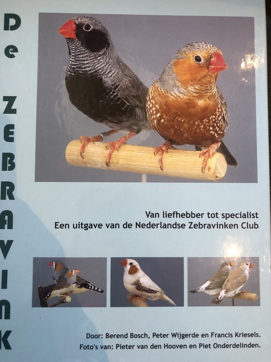 De Zebravink