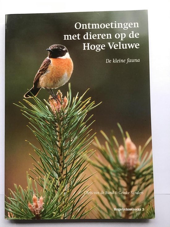 Ontmoetingen met dieren op de Hoge Veluwe