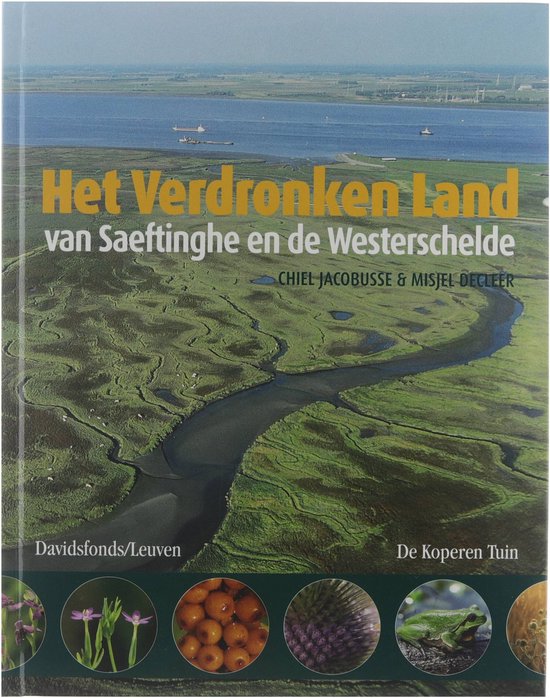 Verdronken Land Van Saeftinghe