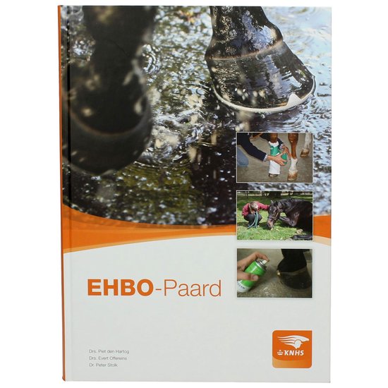 EHBO-Paard