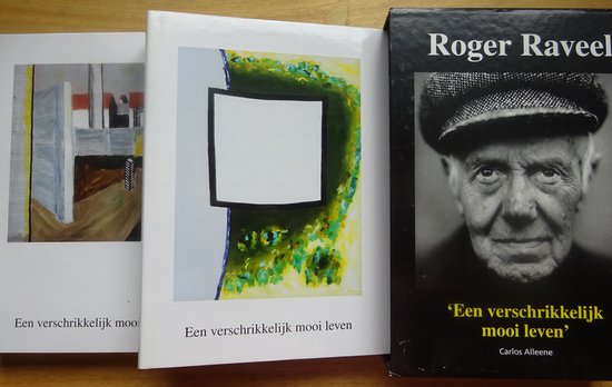 Roger Raveel - Een verschrikkelijk mooi leven