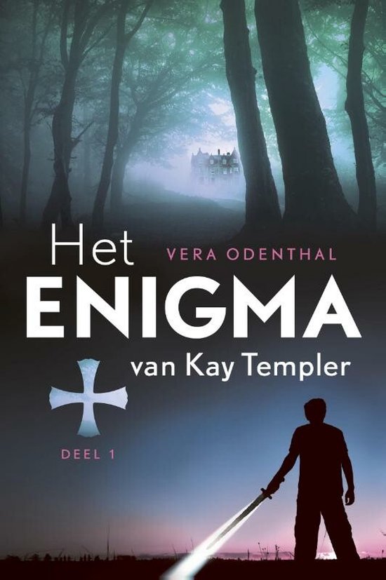 Het Enigma Van Kay Templer