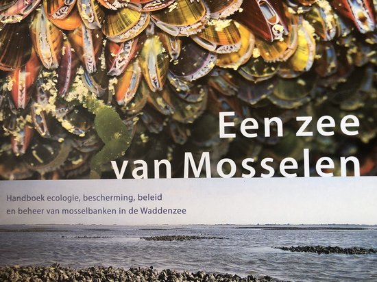 Een zee van mosselen