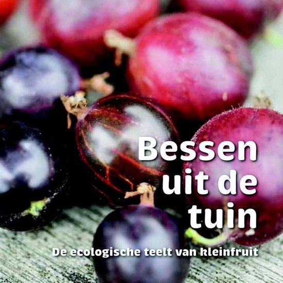 Bessen uit de tuin