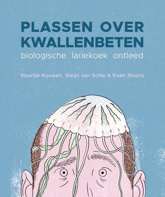 Plassen over kwallenbeten