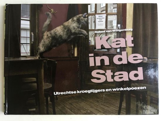 Kat in de Stad