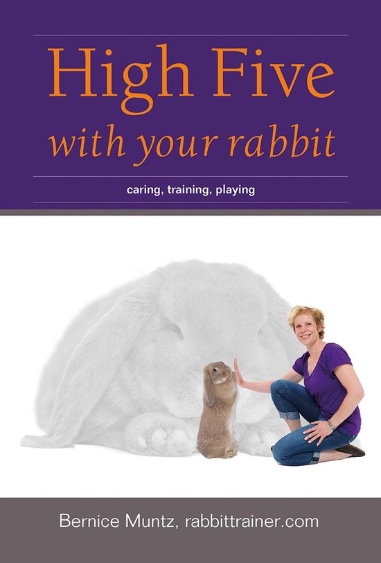 High five with your rabbit