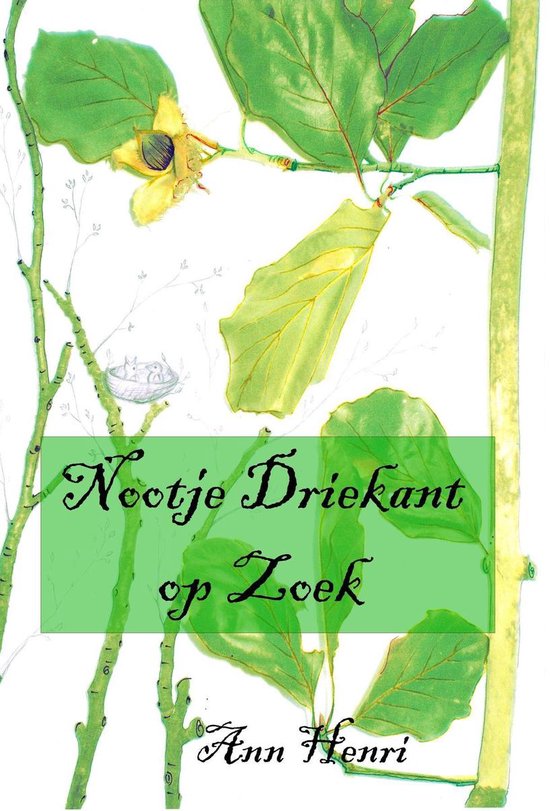 Nootje Driekant op Zoek