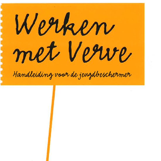 Werken met verve (inclusief DVD Veiligheid en Regie - film over jeugdbescherming)