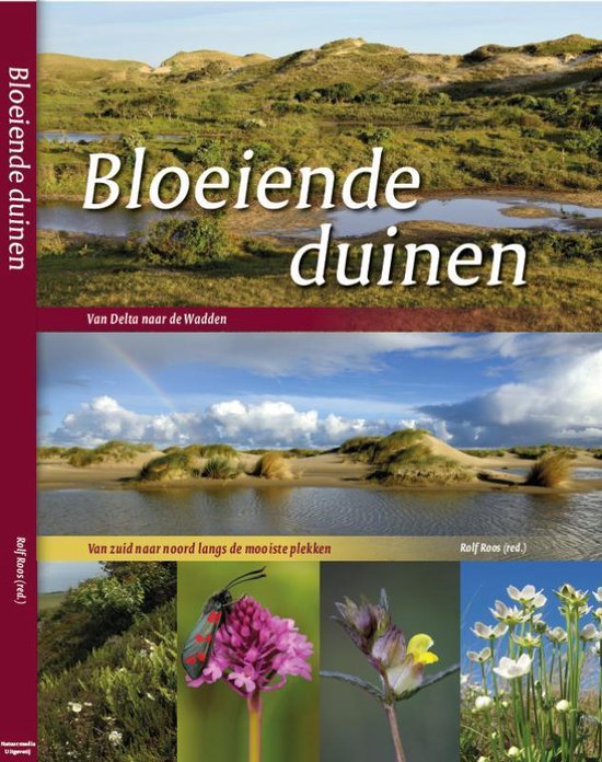 Bloeiende duinen