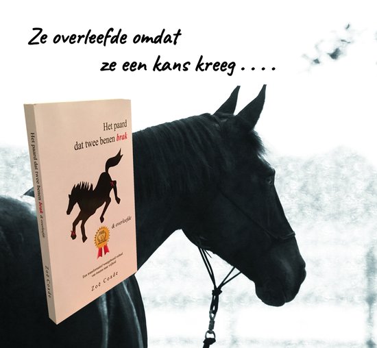 Het paard dat twee benen brak