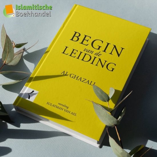 Begin van de leiding