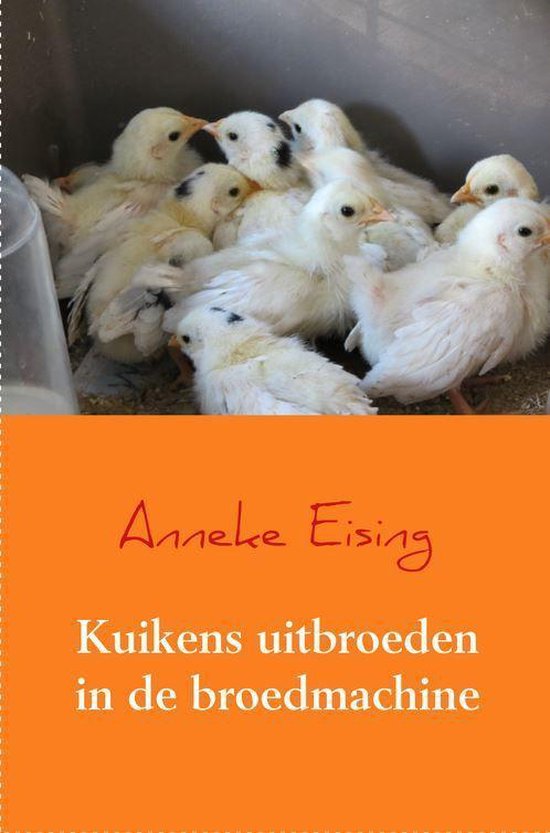 Kuikens uitbroeden in de broedmachine